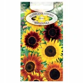 Nasiona i cebule - SŁONECZNIK ozdobny WYSOKI MIX nasiona kwiatów ROŚLIN OZDOBNYCH p. DE80016120212060 - miniaturka - grafika 1