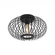Lampy sufitowe - 11410-18 RACOON LAMPA SUFITOWA CZARNA - miniaturka - grafika 1