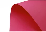 Szkolne artykuły papiernicze - Brystol kolorowy A1 86x61cm 2 arkusze Różowy ciemny BRYSTROL-A1-LUX-ROZC-2ARK - miniaturka - grafika 1