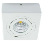 Lampy sufitowe - Ideus Oczko LAMPA natynkowa IGOR LED 9W 03128 metalowa OPRAWA sufitowa REFLEKTOREK regulowany biały - miniaturka - grafika 1