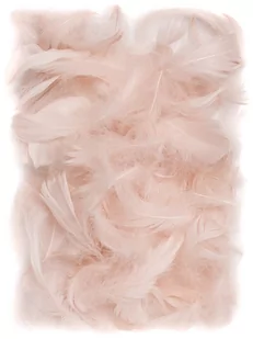 DpCraft Piórka 5-12 cm, 10 g, nude, beżowe, DPCraft - Pasmanteria - miniaturka - grafika 1