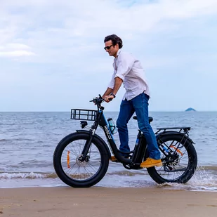 'Ridstar MN26 Electric Bike, 750W Motor 26*4.0'' Fat Tire, 48V 20Ah Battery, 58km/h Max Speed, Shimano 7-speed, Mechanical Disc B' - Rowery - miniaturka - grafika 17
