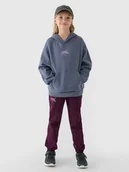 Spodnie i spodenki dla dziewczynek - 4F Spodnie dresowe joggery dziewczęce - fioletowe 164 (13-14 lat) - miniaturka - grafika 1