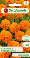 Nasiona i cebule - Legutko sp. z o.o Nasiona Aksamitka rozpierzchła pomarańczowa, 1g - miniaturka - grafika 1