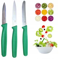 Noże kuchenne - Noz Zestaw Nóż Kuchenny 3x Zielony Noze ze Stali Nierdzewnej Karl Hausmann - miniaturka - grafika 1