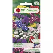 Nasiona i cebule - Zatrwian wrębny - mieszanka - miniaturka - grafika 1