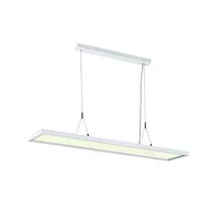 Lampy sufitowe - SLV WORKLIGHT DALI 1005396 oprawa wisząca 1x57W/LED 5000lm 4000K 80 IP20 1005396 - miniaturka - grafika 1