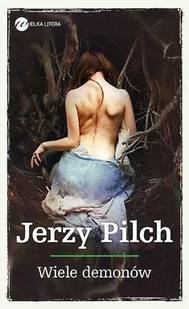 Wiele demonów Jerzy Pilch MP3) - Audiobooki - literatura piękna - miniaturka - grafika 1