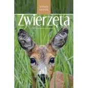 Rośliny i zwierzęta - Zwierzęta Spotkania z przyrodą Nowa - miniaturka - grafika 1