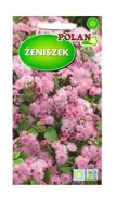 Nasiona i cebule - Żeniszek różowy 0.3 g POLAN - miniaturka - grafika 1