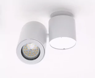 MaxLight LAMPA SUFITOWA BARRO C0036 - Lampy sufitowe - miniaturka - grafika 1