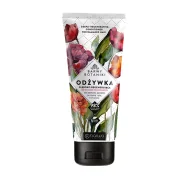 Odżywki do włosów - Barwa Barwy Botaniki Odżywka głęboko regenerująca 180 ml - miniaturka - grafika 1