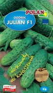 Nasiona i cebule - Ogórek Gruntowy Julian Nasiona 3g Polan - miniaturka - grafika 1