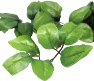 Zabawki kreatywne - Plastikowe Listki do Kwiatów Mydlanych - 10 sztuk - miniaturka - grafika 1