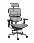 Fotele i krzesła biurowe - Fotel Ergohuman 2 Elite BS Grey - miniaturka - grafika 1
