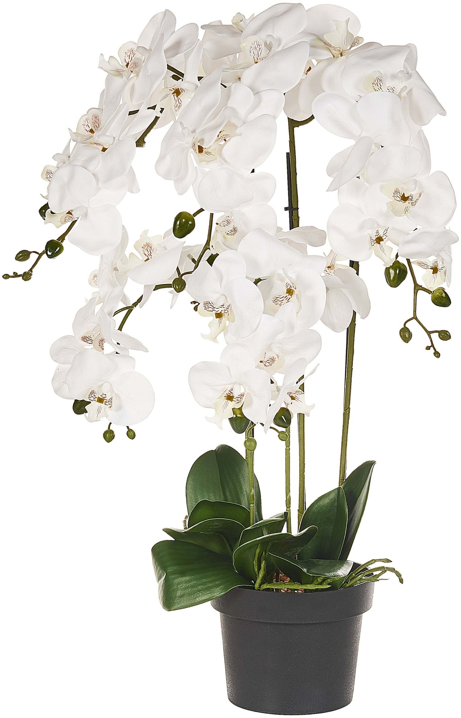 Beliani Sztuczna roślina doniczkowa 63 cm ORCHID