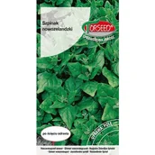 Nasiona i cebule - TORSEED nasiona SZPINAK NOWOZELANDZKI 5 G - miniaturka - grafika 1