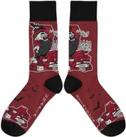 Skarpety termoaktywne - Skarpetki - Hrabia Książkula rozm. 37/41 - miniaturka - grafika 1