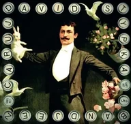 Country - CD David Stypka: Čaruj Digipack DIGI - miniaturka - grafika 1