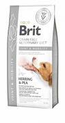 Sucha karma dla psów - Brit VET Brit Veterinary Diet Joint&Mobility Herring&Pea Sucha Karma dla psa op 2kg - miniaturka - grafika 1