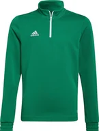 Bluzy damskie - Adidas Bluza adidas ENTRADA 22 Training Top HI2132 HI2132 zielony 152 cm - miniaturka - grafika 1