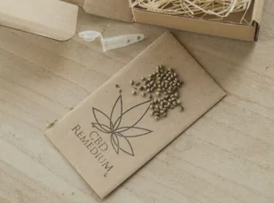 CBD Remedium Nasiona Konopi NYCD Auto x Malana Bomb Auto(fem) - Akcesoria medycyny naturalnej - miniaturka - grafika 1