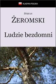 E-booki - literatura polska - Ludzie bezdomni - miniaturka - grafika 1