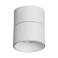 Lampy sufitowe - Lampa spot z regulacją Estetica ABR-LPR-15W-B-NW Abruzzo LED 15W 4000-4500K biały - miniaturka - grafika 1