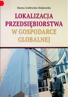 Biznes - Lokalizacja przedsiębiorstwa w gospodarce globalnej - miniaturka - grafika 1