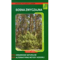 Dom i ogród - Sosna zwyczajna - Tadeusz Andrzejczyk, Żybura Henryk - miniaturka - grafika 1