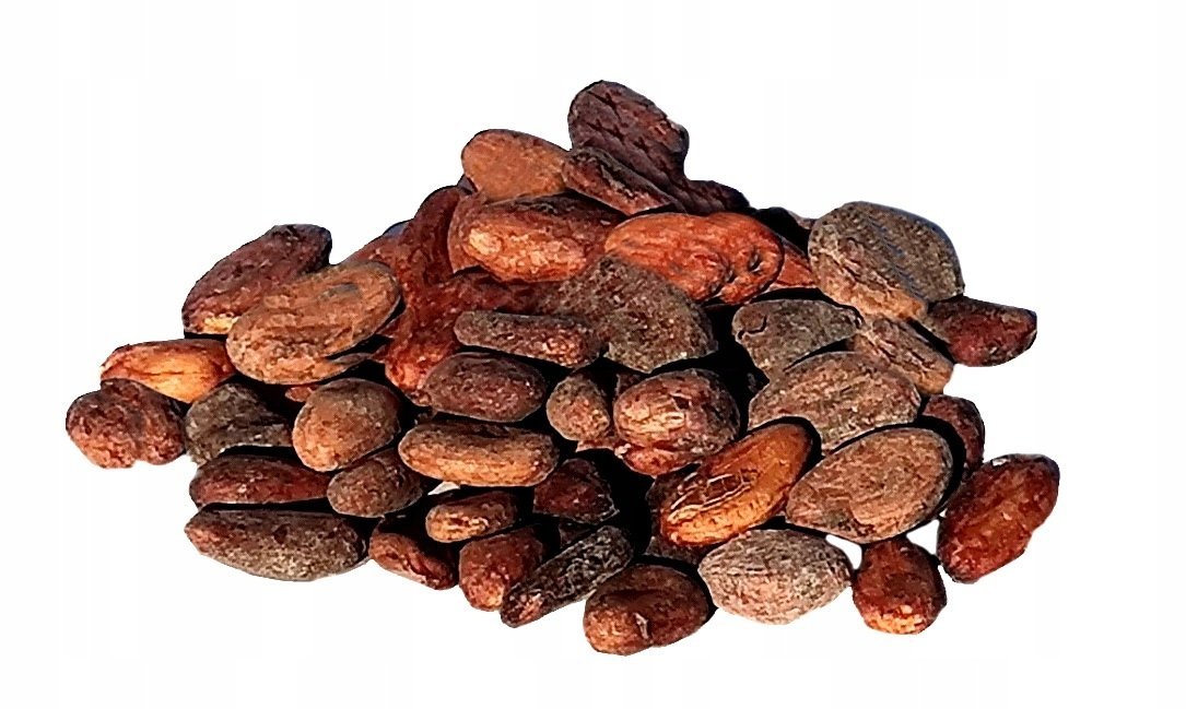 Ziarno kakaowca 1 kg surowe MEGA PAKA od Skworcu