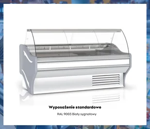 Lada chłodnicza L-E1 MAX 194/107 RAPA, do łączenia w ciągi - Szafy i witryny chłodnicze - miniaturka - grafika 4