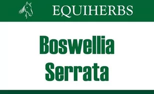 EQUIHERBS Boswellia Seratta Kadzidłowiec 1 kg - - Akcesoria jeździeckie - miniaturka - grafika 1