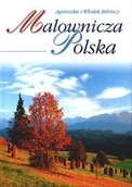 Albumy krajoznawcze - Malownicza Polska - miniaturka - grafika 1