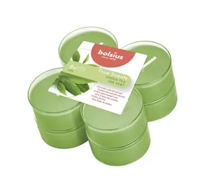 Bolsius Podgrzewacz zapachowy maxi True Scents zielona herbata 8 szt. - Świece - miniaturka - grafika 1