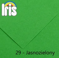 Szkolne artykuły papiernicze - Canson Karton rys. (I) A3 op.50 - j.zielony 29 - miniaturka - grafika 1