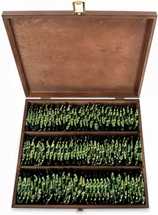 Zestaw Herbat W Skrzynce Lakierowanej 120 Sztuk Herbaciarka - Herbata - miniaturka - grafika 1