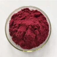 Herbata - Czarna marchew,Black carrot proszek EKSTRAKT 50g - miniaturka - grafika 1