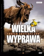 Filmy dokumentalne DVD - Wielka wyprawa tropem antylopy gnu - miniaturka - grafika 1