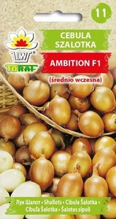Toraf Cebula SZALOTKA AMBITION 20 szt Nas000513 - Nasiona i cebule - miniaturka - grafika 1