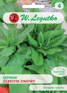 Szpinak Zimowy Olbrzymi DO MROŻENIA nasiona 20g - Nasiona i cebule - miniaturka - grafika 1