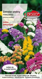 Nasiona Zatrwian wrębny mieszanka - Torseed - Nasiona i cebule - miniaturka - grafika 1