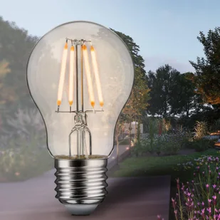 Paulmann Żarówka LED Filament E27 4W 2,200 K - Żarówki LED - miniaturka - grafika 1