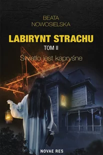 Światło jest kapryśne. Labirynt strachu. Tom 2 - E-booki - kryminał i sensacja - miniaturka - grafika 1