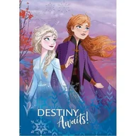 Koce i narzuty dla dzieci - Królowa Śniegu Plaid Destiny Awaits - miniaturka - grafika 1