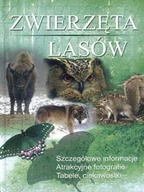 Nauki przyrodnicze - Zwierzęta lasów - miniaturka - grafika 1