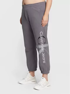 Spodnie sportowe damskie - Calvin Klein Jeans Plus Spodnie dresowe J20J218017 Szary Regular Fit - grafika 1