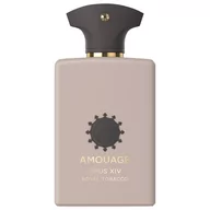 Wody i perfumy damskie - Amouage Library Collection XIV Royal Tobacco Woda perfumowana 100 ml - miniaturka - grafika 1