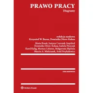Prawo - Wolters Kluwer Prawo pracy Diagramy - Wolters Kluwer - miniaturka - grafika 1