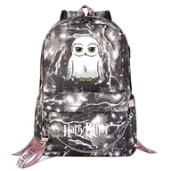 Plecaki - Huasi Harry Potter Cartoon School Backpack - Modny, pojemny plecak dla nastolatków dla chłopców i dziewcząt; Idealny do podróży, studentów; Casual ... - miniaturka - grafika 1